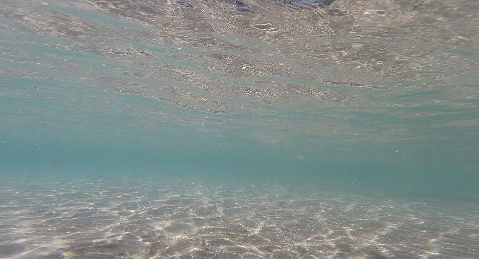 Lake Tahoe's Clear Water